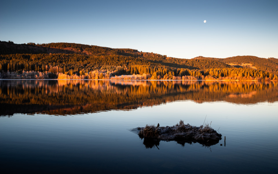 Morgenstimmung am Schluchsee