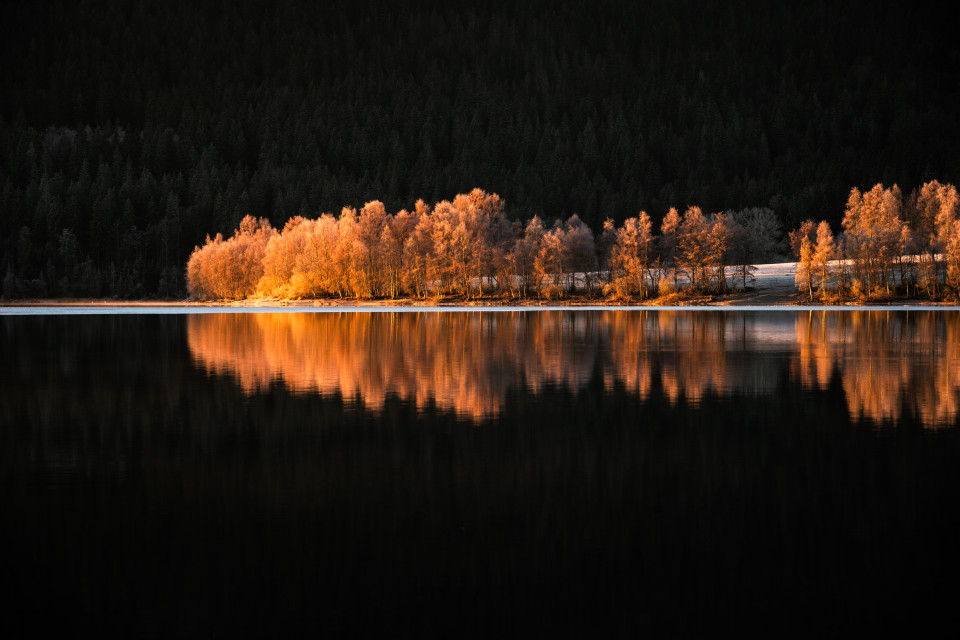 Morgenstimmung am Schluchsee