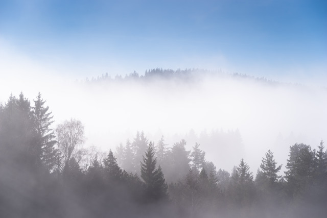Sonnenschein und Nebel auf dem Bühlberg