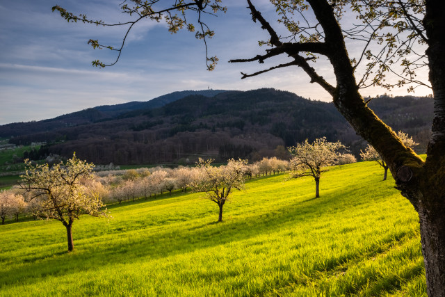 Frühling im Eggenertal