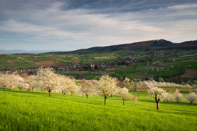 Frühling im Eggenertal