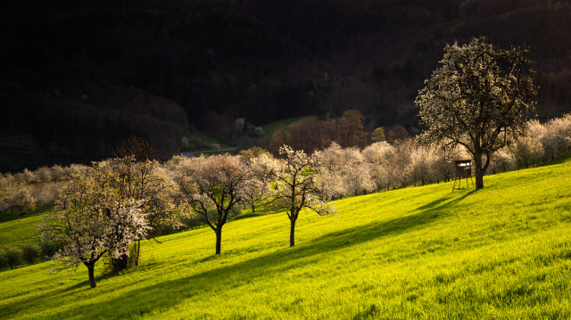 Frühling im Eggenertal