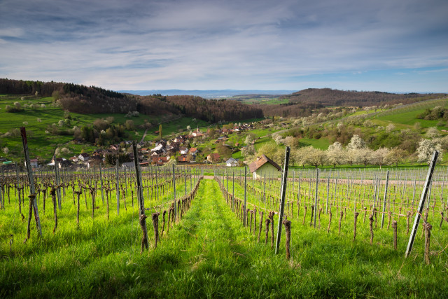 Blick über Feuerbach