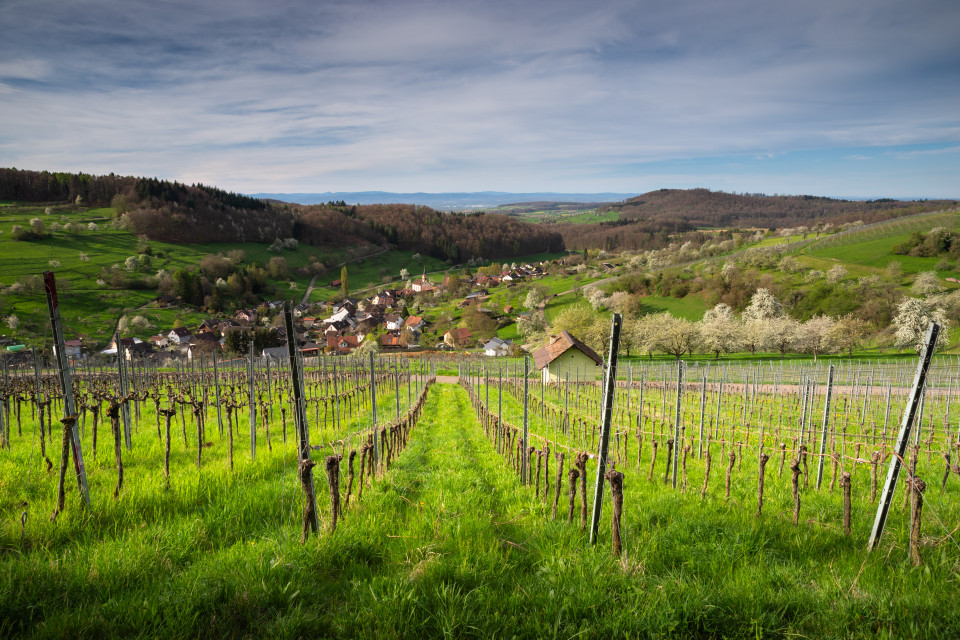 Blick über Feuerbach