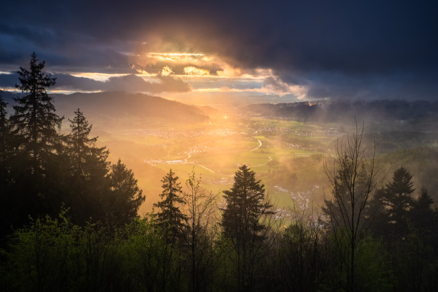 Dreisamtal im Abendlicht