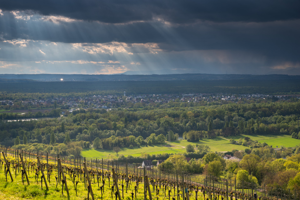 Blick über Kembs und die Rheinebene