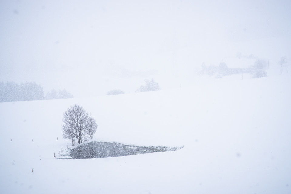 Wintereinbruch im April bei Breitnau