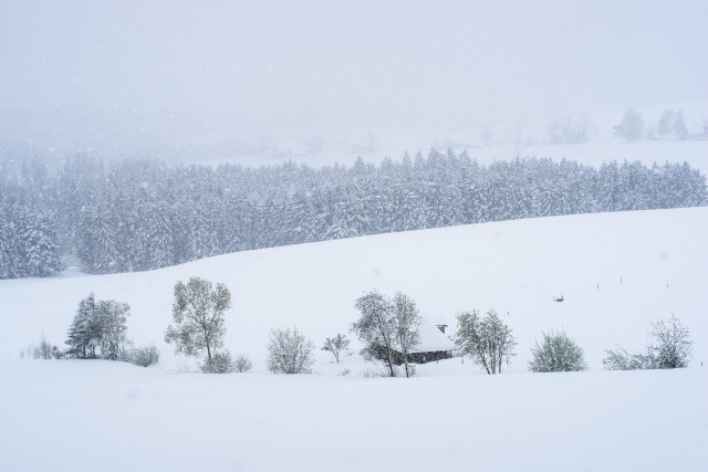 Wintereinbruch im April bei Breitnau