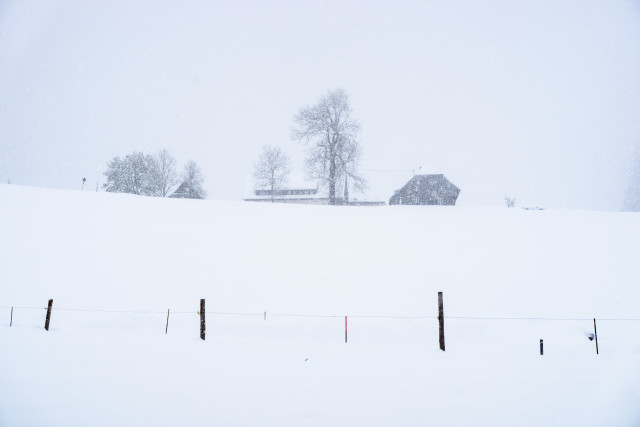 Wintereinbruch im April bei Breitnau