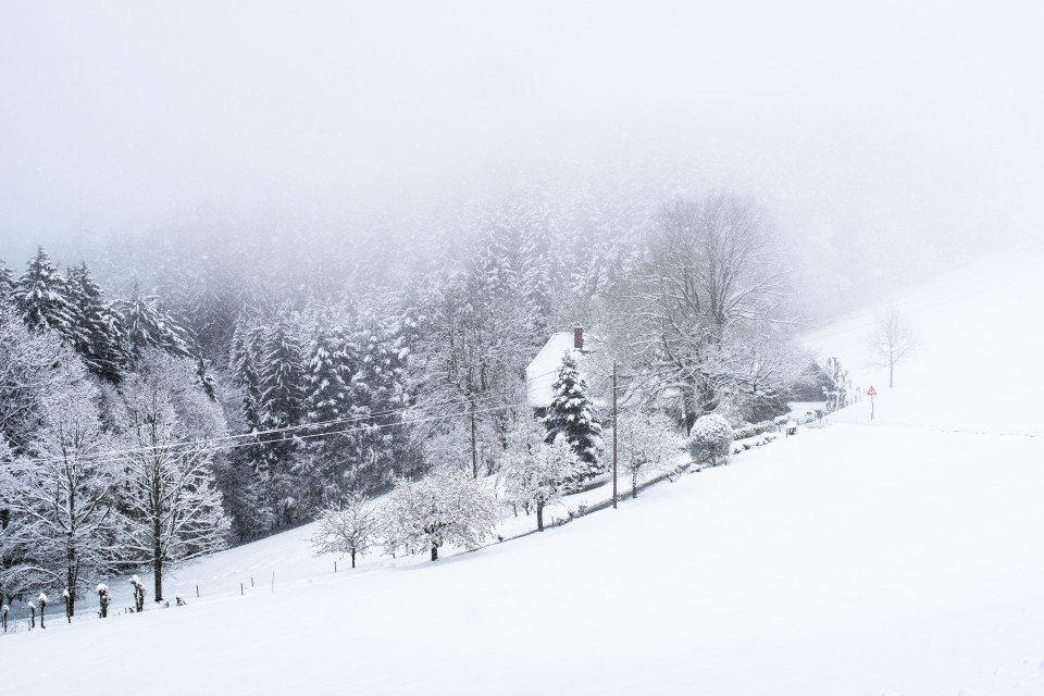 Wintereinbruch im April bei Breitnau