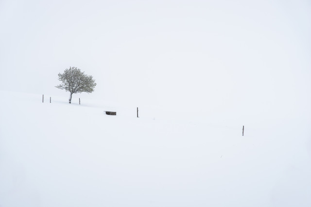 Wintereinbruch im April bei Breitnau