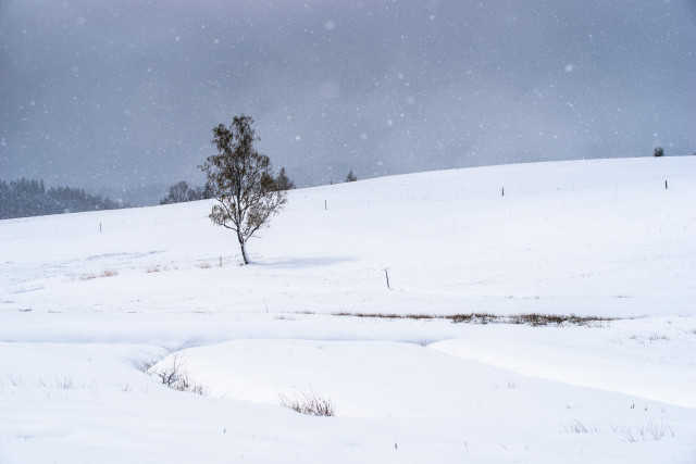 Wintereinbruch im April bei Breitnau