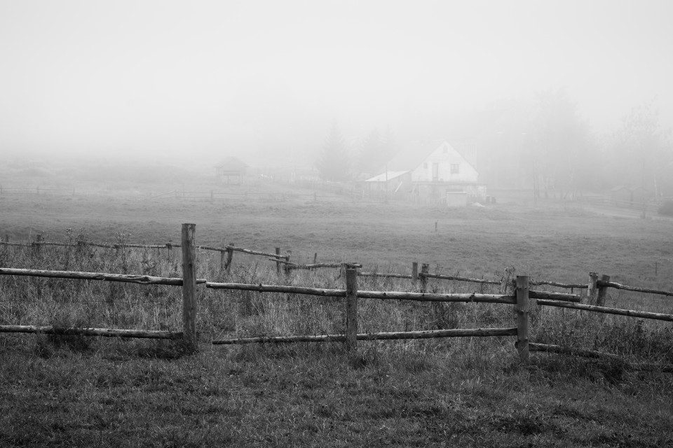 Fojtovice im Nebel