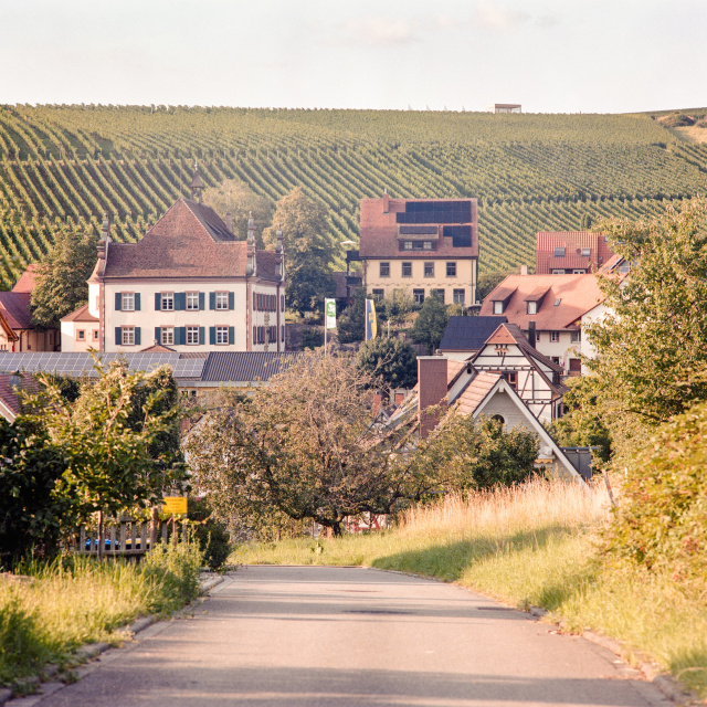 Ebringen, 08.08.2025 Blick auf Ebringen