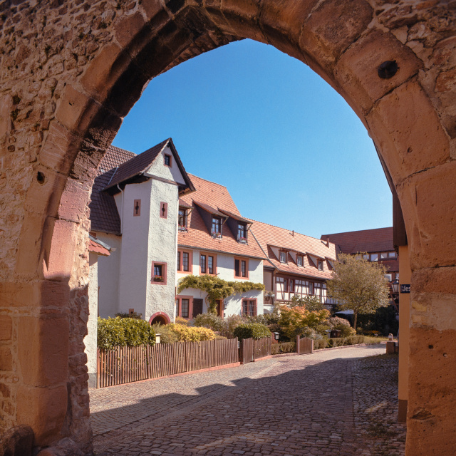 Ladenburg, 19.08.2025 Ladenburg, Jesuitenhof
