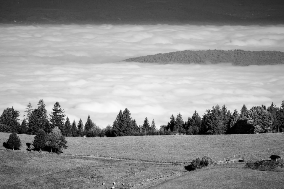 Inversion am Schauinsland