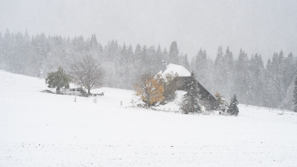 Wintereinbruch, Rinken
