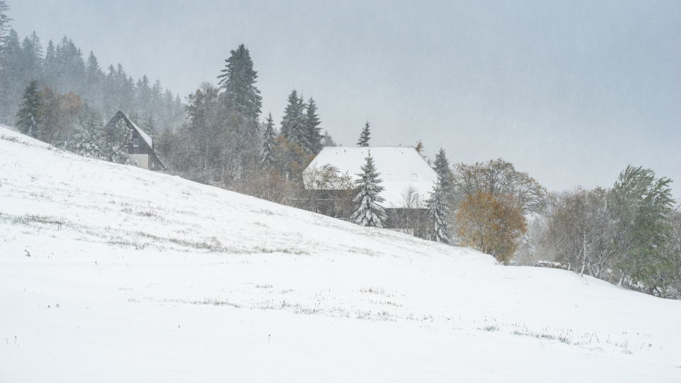 Wintereinbruch, Rinken