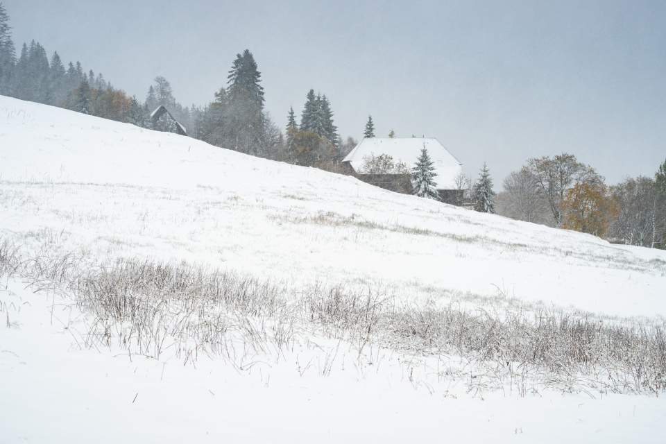Wintereinbruch, Rinken