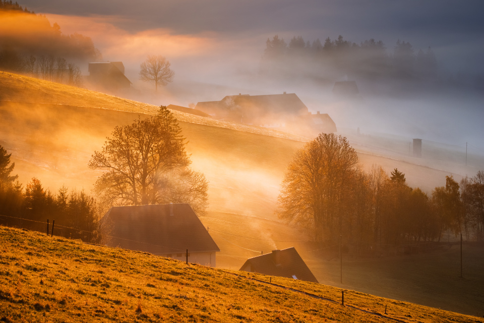 Nebel und Morgenlicht im Spriegelsbachtal