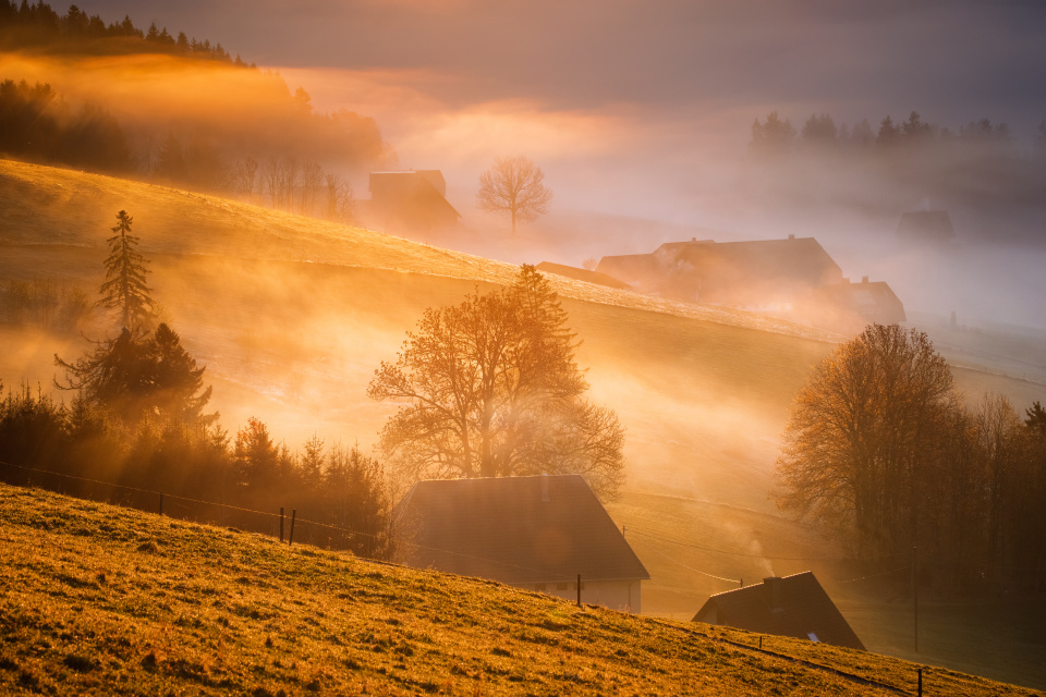 Nebel und Morgenlicht im Spriegelsbachtal