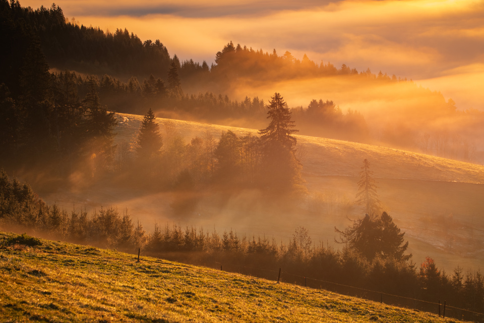 Nebel und Morgenlicht im Spriegelsbachtal