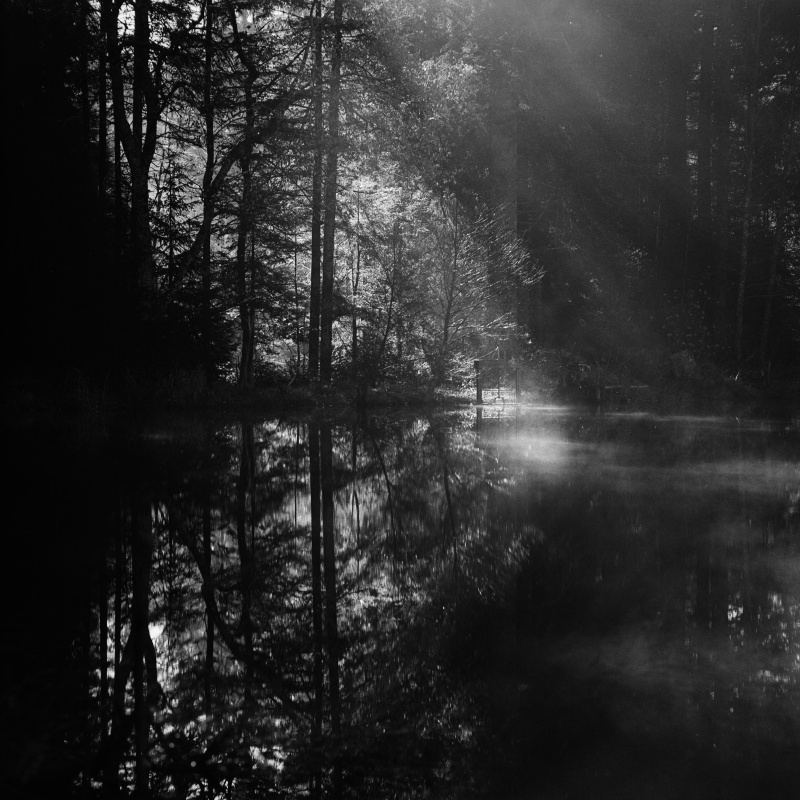 Gegenlicht am Eisweiher