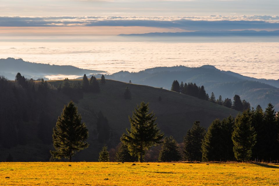 Inversion am Schauinsland