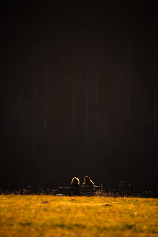 Aussicht im Gegenlicht